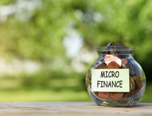What is Micro Loan Business Plan?