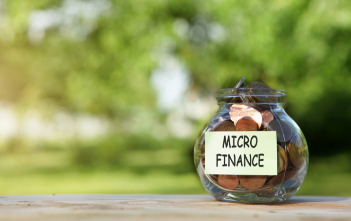 What is Micro Loan Business PlanWhat is Micro Loan Business Plan What is Micro Loan Business Plan?