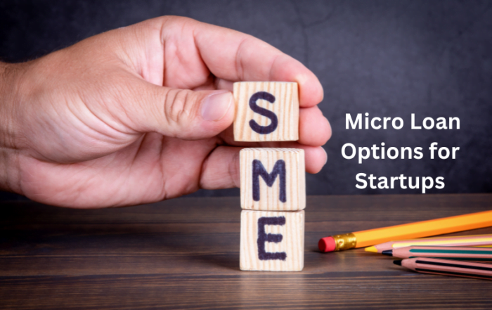 SME Micro Loan Options for Startups SME Micro Loan Options for Startups
